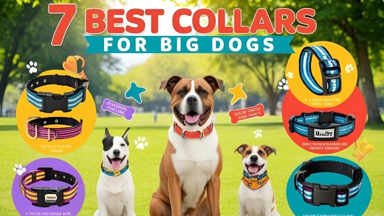best-collars-for-big-dogs