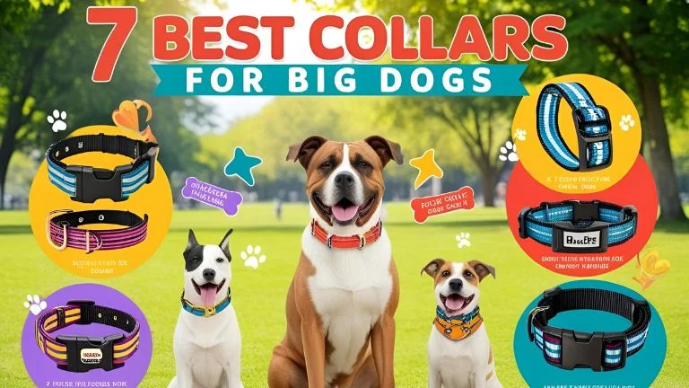 best-collars-for-big-dogs